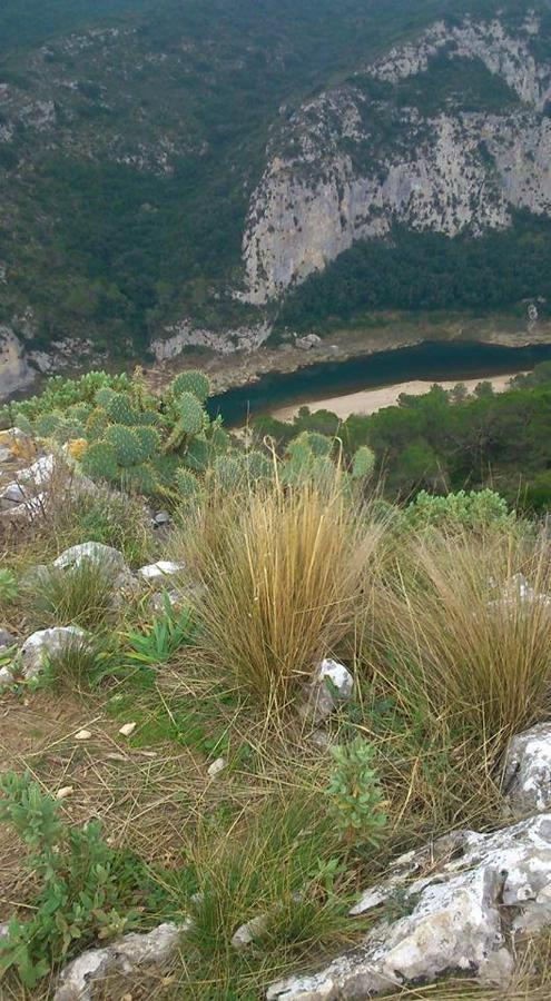 Appartamento Entre Uzes Et Le Pont Du Gard Le Cocon De Sophia A Deux Pas Des Gorges Du Gardon Collias Esterno foto